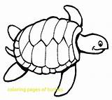 Plants Sea Coloring Pages Getdrawings Drawing sketch template