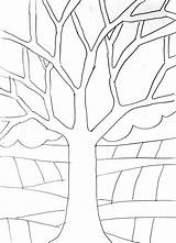 Tree Warm Colors Cool Colori Caldi Freddi Albero Arteascuola Projects Visit Lessons Color sketch template