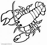Coloring Pages Lobster Animals Sea Printable Templates Template Live sketch template