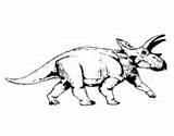 Triceratops Coloring Coloringcrew Pages sketch template