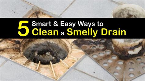smart easy ways  clean  smelly drain