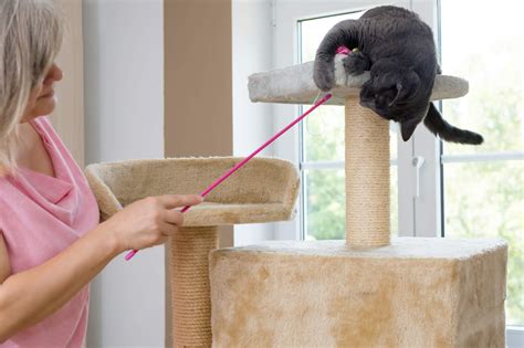 Como Fazer Um Arranhador De Gatos Confira O Passo A Passo