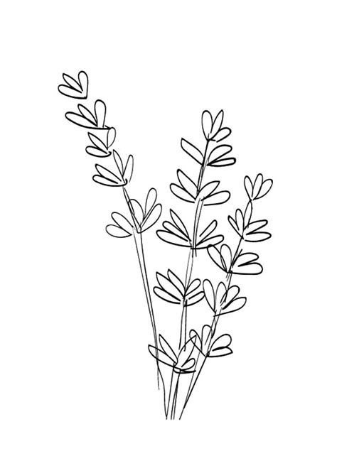 black  white drawing   flowers