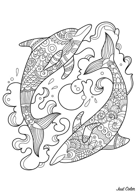 dolphins   ocean dolphins adult coloring pages