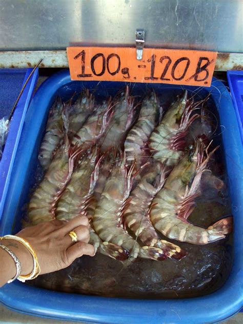 Black Tiger Shrimp Becoming The New Lobster