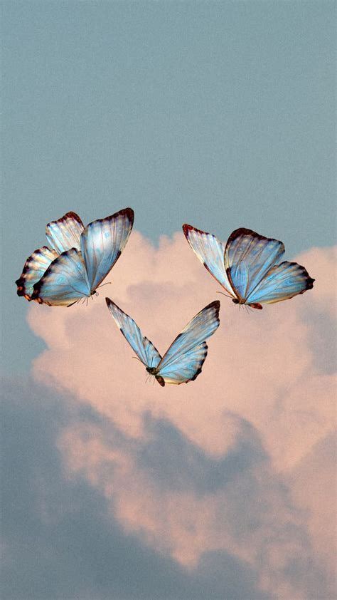 Aesthetic Blue Butterfly Wallpapers - Wallpaper Cave in 2021 | Blue