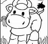 Coloring Pages Getdrawings Rockies Colorado Cow sketch template