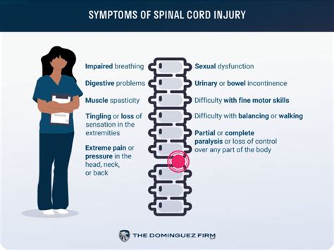 Los Angeles Spinal Cord Injury Lawyers The Dominguez Firm