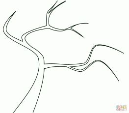 bare trees coloring pages  printable pictures bare tree tree