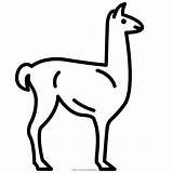 Llama Ultracoloringpages sketch template