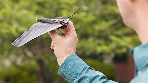 rule  skies   smartphone controlled bird drone mental floss