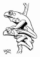 Kikkers Kleurplaat Ranas Colorear Rane Grenouille Disegno Frogs Frog Coloriages Schoolplaten Dart Poison Kleurplaten Tekeningen Grote Grenouilles Scarica sketch template