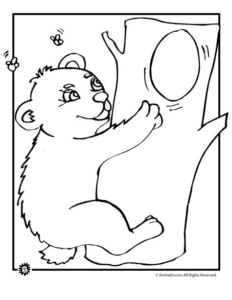 baby bear coloring page woo jr kids activities childrens publishing