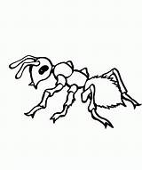 Ant Coloring Pages Kids Drawing Ants Printable Clipart Preschool Colouring Cliparts Line Color Preschoolers Book Clip Library Getcolorings Coloringbay Clipartmag sketch template