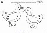 Ducks Coloring Cute Color sketch template
