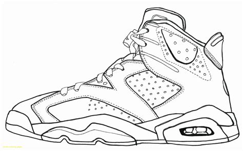 basketball shoes drawing  paintingvalleycom explore collection