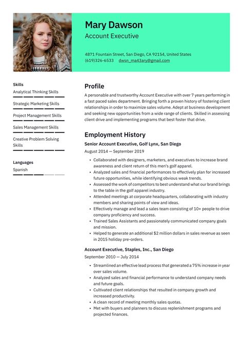 account executive resume format  word  india  choose