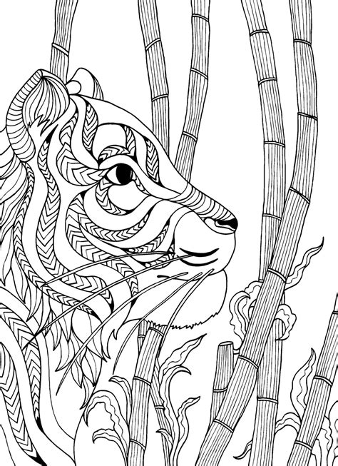 tiger adult colouring page colouring  sheets art craft art