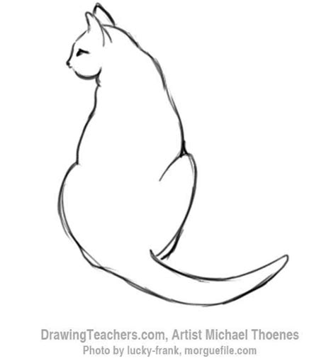 How To Draw A Cat Sitting Cat Sitting Cat Drawing Drawings