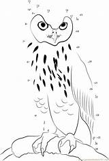 Dot Owl Eagle Dots Connectthedots101 sketch template
