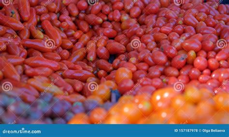Plum Tomatoes Vine Ripened Tomatoes Cherry Colorful Tomatoes Stock