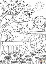 Coloring Pages Summer Garden Printable Nature Color Sheets sketch template