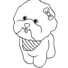 maltese dog puppy coloring pages hellokidscom