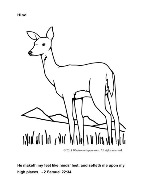 kjv bible coloring pages   gmbarco
