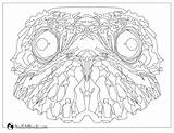 Potoo Coloring Common sketch template