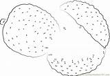 Lychee Wonderful Fruit Dots Connect Dot sketch template