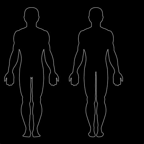 collection  png hd human body outline pluspng