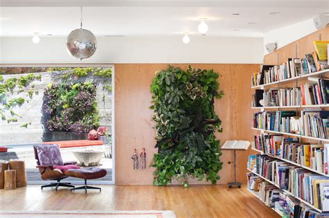 indoor plant decor inspires  houseplants