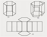 Jaring Prisma Segi Enam Segitiga Empat Limas Contoh Berpendidikan Trapesium Primas Jenis Kotak Lengkap Materi Kertas Unsur sketch template