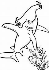 Shark Hammerhead Tulamama Tubarão Topcoloringpages sketch template