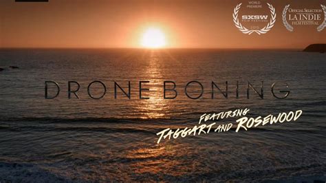 drone boning