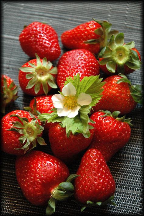 tarte patissiere aux fraises  confiture  la fraise des bois la