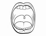Throat Coloring Pages Gallbladder Tongue Template Coloringcrew Colorear Garganta Human Body Sketch sketch template