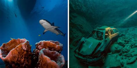 15 mesmerizing underwater photos that show what s really under the sea
