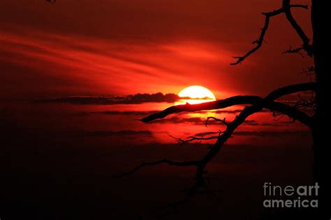 Sunset Zen Photograph By Ola Allen Fine Art America
