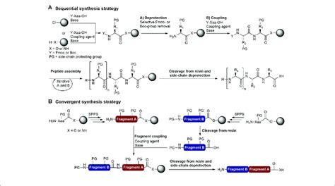 pech maennlichkeit garn merrifield peptide synthesis mechanism maeander