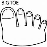 Toe Big Coloring Pages Anatomy Surfnetkids Hands sketch template