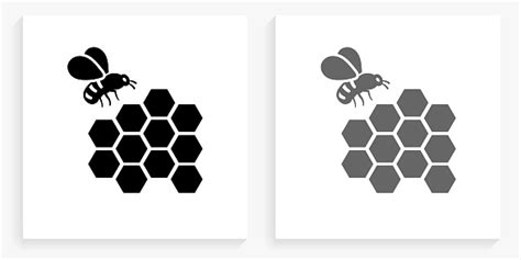 bee zwart en wit vierkante icoon stockvectorkunst en meer beelden van bij bij conceptueel