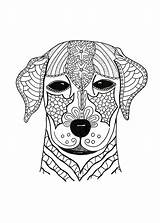 Coloring Pages Dog Adult Hard Advanced Adults Animal Woof Cute Printable Pdf Color Print Face Colouring Dogs Animals Sheets Book sketch template
