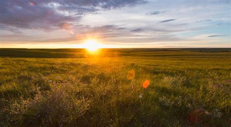 tallgrass prairie national preserve  nature conservancy