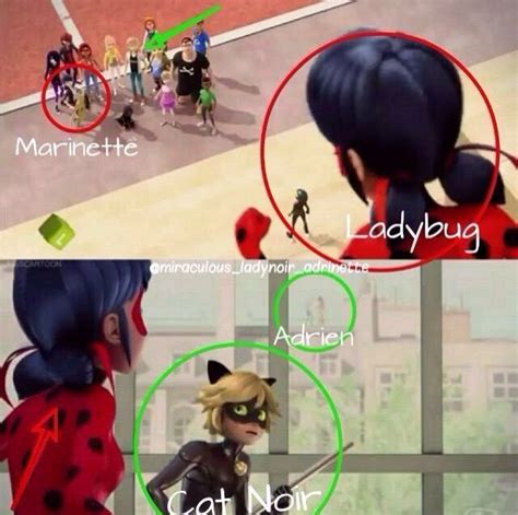 miraculous tales of ladybug and chat noir review