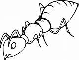 Ant Outline Coloring sketch template