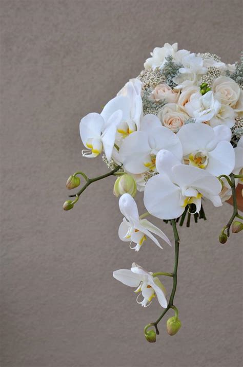 orchid white bridal bouquet
