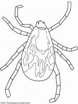 Tick Coloring Pages Lightupyourbrain Kids Ticks Colouring Embroidery Freecoloringpages sketch template