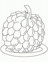 Apple Coloring Pages Sugar Custard Color Clipart Fruit Outline Fruits Sugarcane Template Sheets Popular Sketch Library Coloringhome Kids sketch template
