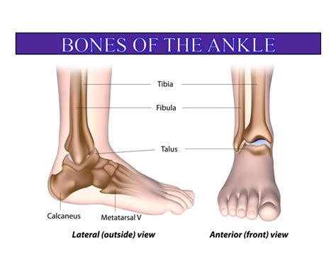 ankle injury settlement lawyer guide  recovered